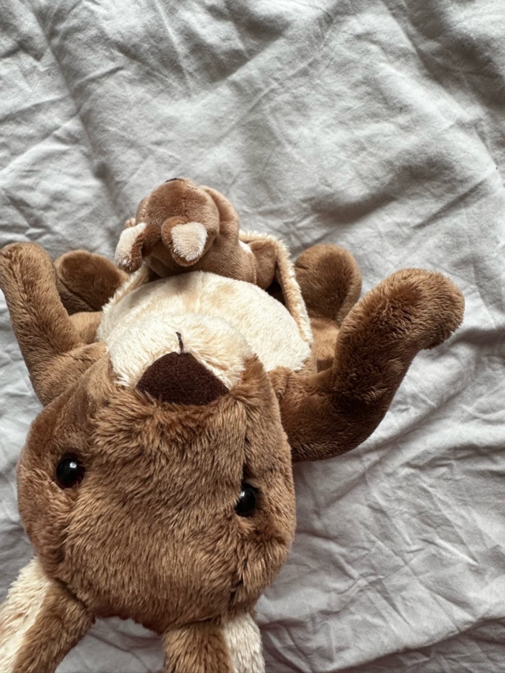 Plush Kangaroo with Joey - Soft Brown Stuffed Animal

l - Picture 9 of 9
